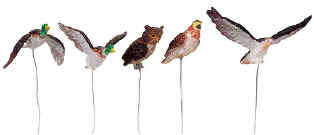 Assorted Birds - 84817
