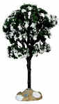 6in Balsam Fir Tree - 64089
